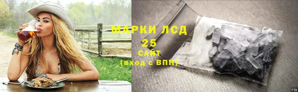 гидропоника Иннополис