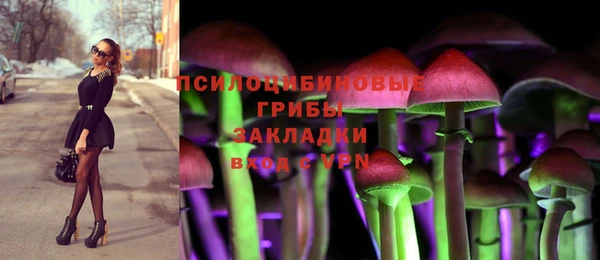 соль ск Инта