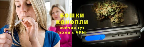 гидропоника Иннополис