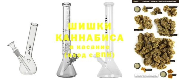 гидропоника Иннополис