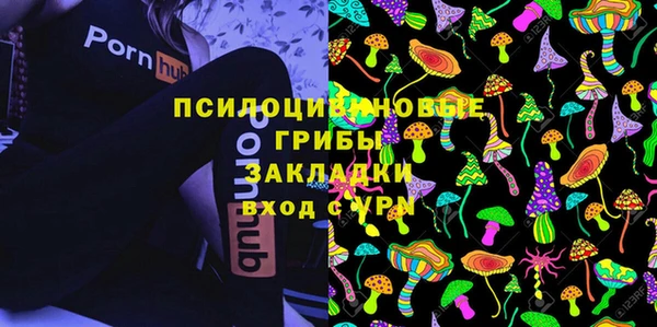 соль ск Инта