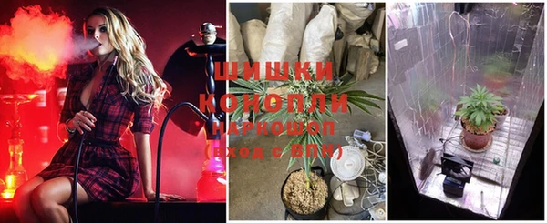 прущий лед Инсар