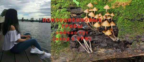 гидропоника Иннополис
