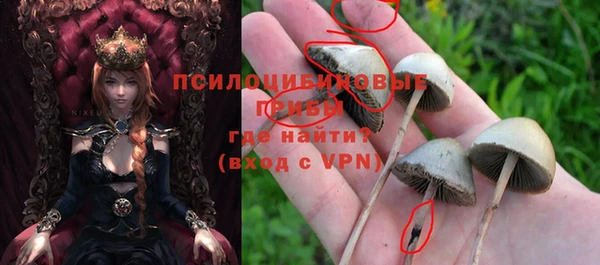 гидропоника Иннополис