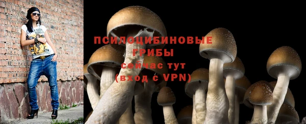 соль ск Инта