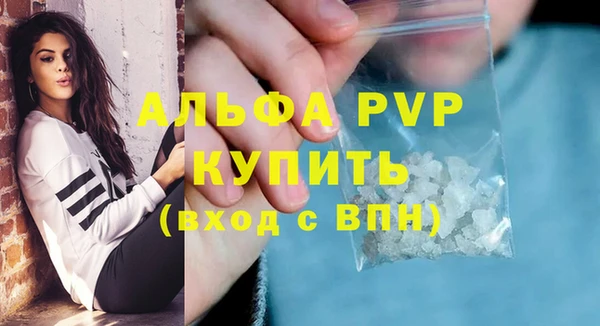 прущий лед Инсар