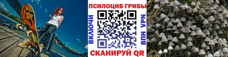 Псилоцибиновые грибы Psilocybe Завитинск