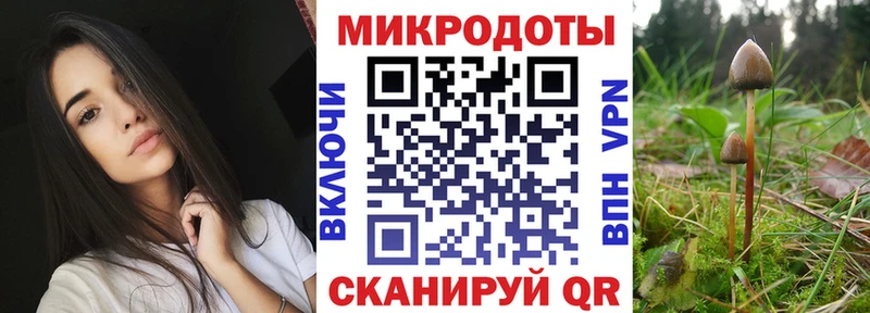 Псилоцибиновые грибы ЛСД  Купить закладки  Завитинск 